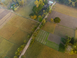 High Angle View of Rural Development and Natural Beauty Coexisting