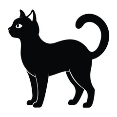 silhouette cat on white background