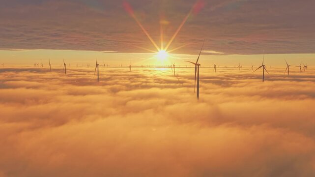 Sunrise over the Afsluitdijk wind farm with low clouds and calm Dutch waters.