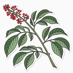 plant sticker on white background