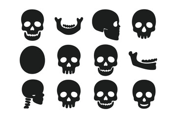 Fototapeta premium Anatomy Skull Icons. Anatomy skull. Solid icon set of anatomy skull: human skull, jawbone, side profile, skull base, cranium, eye sockets, nasal cavity, teeth,