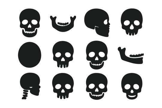 Anatomy Skull Icons. Anatomy skull. Solid icon set of anatomy skull: human skull, jawbone, side profile, skull base, cranium, eye sockets, nasal cavity, teeth,
