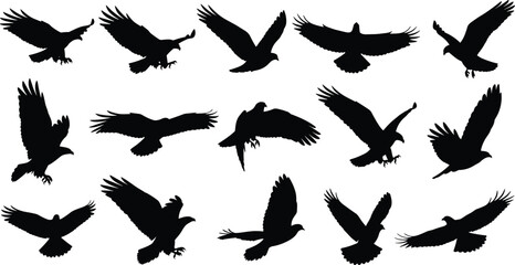 Eagle silhouettes vector set flying soaring hunting, stylized birds of prey shapes, black hawk falcon icons collection for majestic nature logo design, isolated on white ba