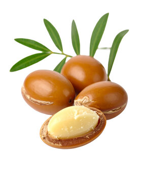Argun Nuts and Oil with Green Leaves - Transparent Background - Cracked open nuts Falling - Food Image for Health and Beauty - Raw Food and Cosmetic Ingredient - Hair Shampoo and Vitamin Benefits