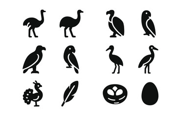 Naklejka premium African Birds Icons. Birds of Africa. Solid icon set of Birds of Africa: ostrich, rhea, emu, vulture, eagle, parrot, crane, stork, peacock, feathers, nest,