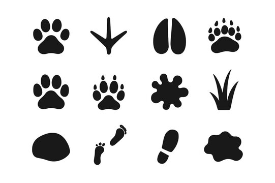 Animal Tracks Icons. Animal tracks. Solid icon set of animal tracks: paw print, bird track, deer hoof, bear paw, wolf track, cat paw, dog paw, mud splatter,