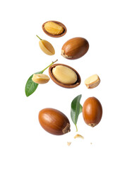 Argun Nuts and Oil with Green Leaves - Transparent Background - Cracked open nuts Falling - Food Image for Health and Beauty - Raw Food and Cosmetic Ingredient - Hair Shampoo and Vitamin Benefits