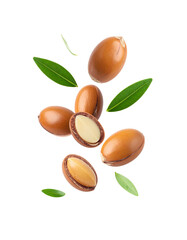 Argun Nuts and Oil with Green Leaves - Transparent Background - Cracked open nuts Falling - Food Image for Health and Beauty - Raw Food and Cosmetic Ingredient - Hair Shampoo and Vitamin Benefits