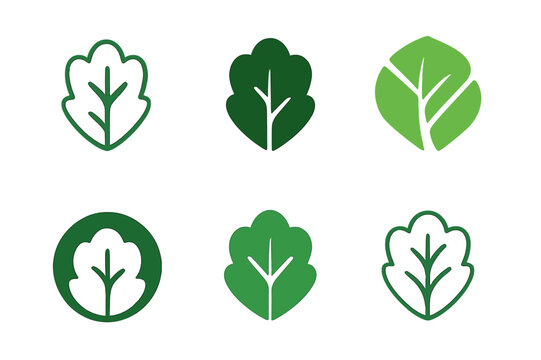 Creative Salad Logos. salad. Icon set. Set Logo of salad: lettuce leaf. harmonious logo variations of the same emblematic concept, each with different artistic