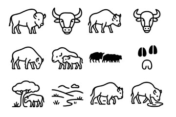 Fototapeta premium Buffalo Herd Icons. Buffalo Herd. Line icon set of Buffalo Herd: standing buffalo, buffalo head, walking buffalo, buffalo with horns, grazing buffalo, buffalo