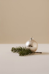 Minimalist Silver Christmas Baubles with Dried Flowers and Soft Lights