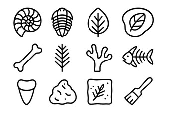 Naklejka premium Fossil Icon Collection. Fossil finds. Line icon set of fossil finds: ammonite, trilobite, leaf imprint, shell cast, dinosaur bone, fern frond, coral, fish