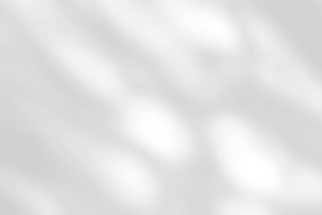 Shadow of leaves tree plant overlay on white wall. Sunlight effect shadow on the wall. Minimal blurred backdrop backgrounds. Summer tropical surface background.