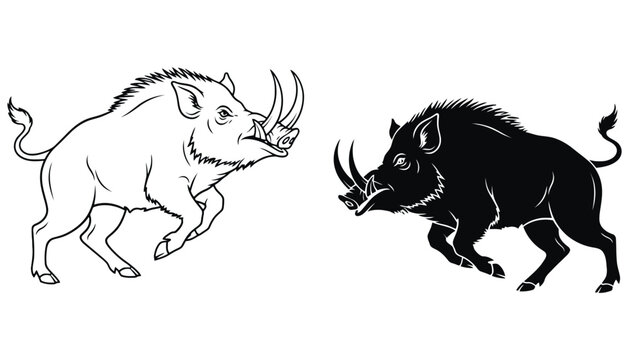 Boar vector illustration wild hog tusk outline black and white