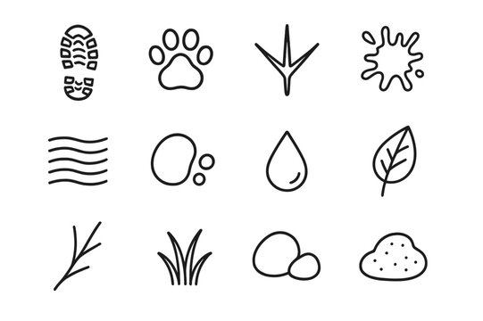 Nature Footprint Icons. Footprints in Nature. Line icon set of Footprints in Nature: boot print, paw print, bird track, mud splash, sand ripple, pebble, water
