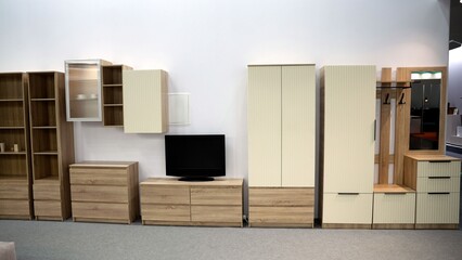 Modular wooden furniture set for modern living room interior