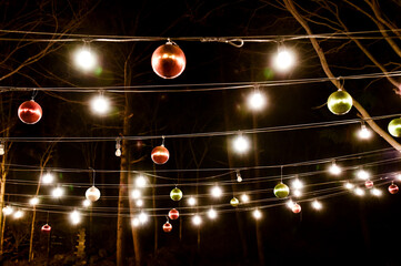 Christmas lights hanging from the trees. There are many different colored lights