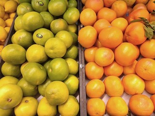 Oranges et agrumes verts disposés en étal de supermarché