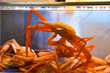 A crab is in a tank with other crabs. The tank is blue. The crab is orange