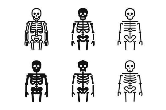 Anatomy Logo Variations. Human anatomy. Icon set. Set Logo of human anatomy: human skeleton structure. harmonious logo variations of the same emblematic