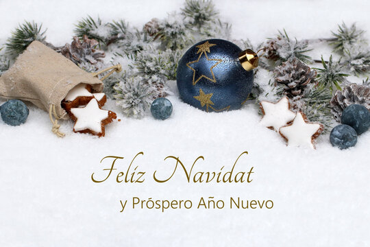 Tarjeta de Navidad con saludos de A&ntilde;o Nuevo: decoraci&oacute;n navide&ntilde;a con ramas de abeto y bolas de Navidad azules sobre un fondo invernal con el texto "Feliz Navidad y pr&oacute;spero a&ntilde;o nuevo".