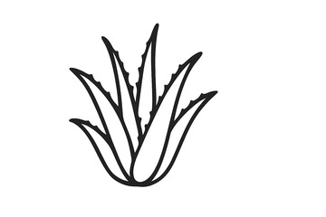 Minimalist black line art of an aloe vera succulent plant for natural health and beauty