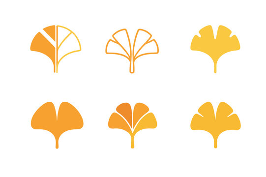 Ginkgo Leaf Logos. Autumn leaves. Icon set. Set Logo of Autumn leaves: paired ginkgo fan leaves. harmonious logo variations of the same emblematic concept,