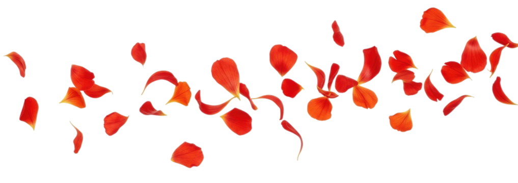 Abstract red swirls and shapes transparent background cutout png - Powered by Adobe