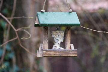 Vogelfütterung im Winter