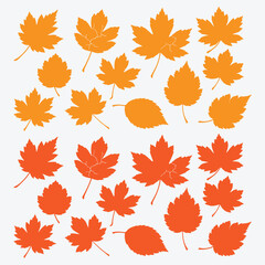 Fototapeta premium Autumn leaves vector collection for seasonal fall backgrounds