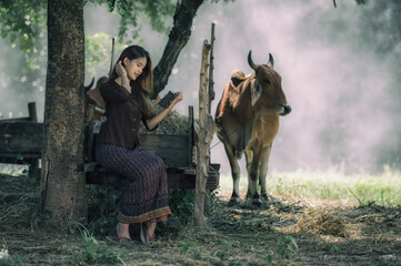 young woman with a cow. Portrait young woman sits and smiles on the back of a buffalo.	