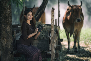 young woman with a cow. Portrait young woman sits and smiles on the back of a buffalo.	