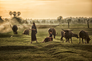 young woman with a cow. Portrait young woman sits and smiles on the back of a buffalo.	