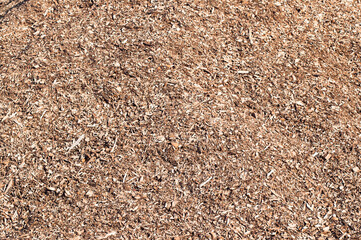wood background, close-up of wood chips in the photo