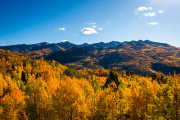 Fall foliage colors in the colorado mountains
