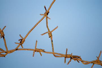 barbed wire close-up against a blue sky