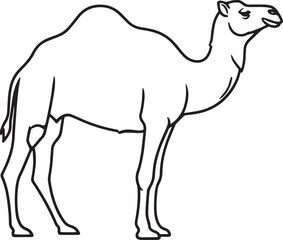 Fototapeta premium Dromedary camel side profile, black line art isolated—desert animal.