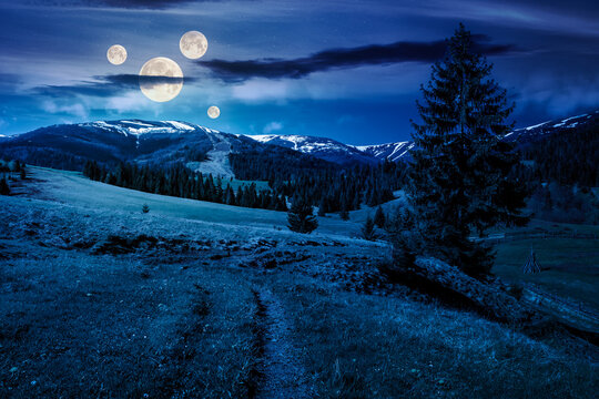 beautiful spring weather in mountains at night. spruce trees on a grassy meadow in full moon light. distant mountain ridge with snowy tops. backdrop for fiction art or mystery concepts