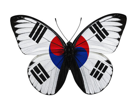 South Korean Flag Taegeukgi Butterfly Icon, Hyperrealistic Symbol with White and Blue/Red Wings, Isolated Element