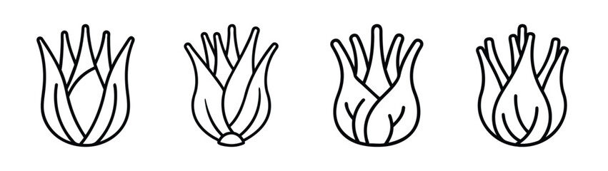 Chicory root vegetable illustration vector drawing for food ingredient and plant identification guide