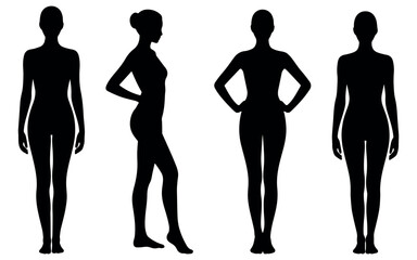 Female silhouette pose set, female silhouette set featuring various standing body poses, ideal for fashion design, anatomy reference, fitness themes, model studies, and modern minimal vector