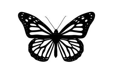 Detailed black and white silhouette of a butterfly with spread wings and intricate patterns