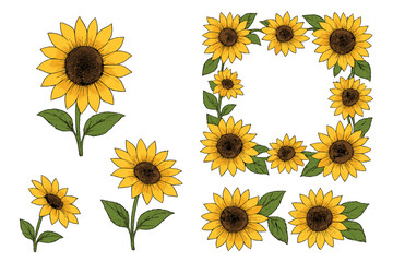 Hand drawn style set of blooming sunflowers and a decorative corner border design
