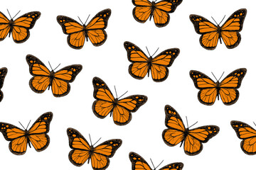 Vibrant seamless pattern of monarch butterflies with detailed orange wings on white background
