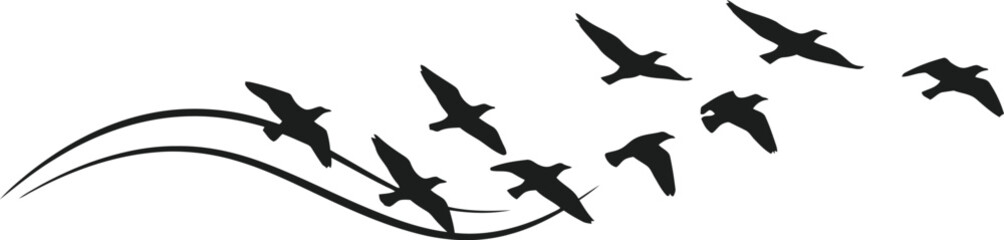 Fototapeta premium Silhouette of birds flying with swirling lines on a white background