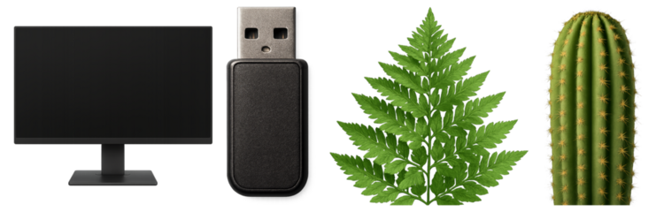 Collection of four diverse objects including a computer monitor, USB flash drive, green fern leaf, and a tall cactus, representing the concept of technology and nature