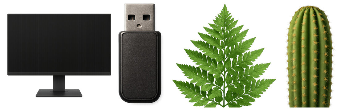 Collection of four diverse objects including a computer monitor, USB flash drive, green fern leaf, and a tall cactus, representing the concept of technology and nature