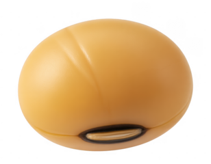 Single yellow soybean seed with dark hilum isolated on a transparent background