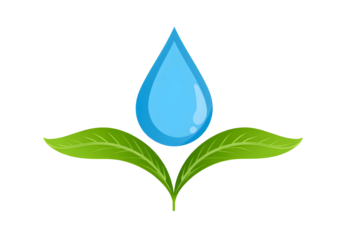 Water Drop with Green Leaves PNG Fresh Water Eco Symbol Isolated on Transparent Background