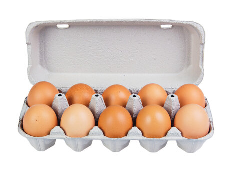 10 eggs in a carton on transparent background, PNG  - Powered by Adobe